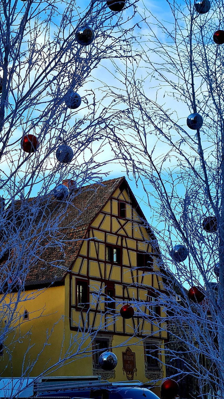 Christmas season