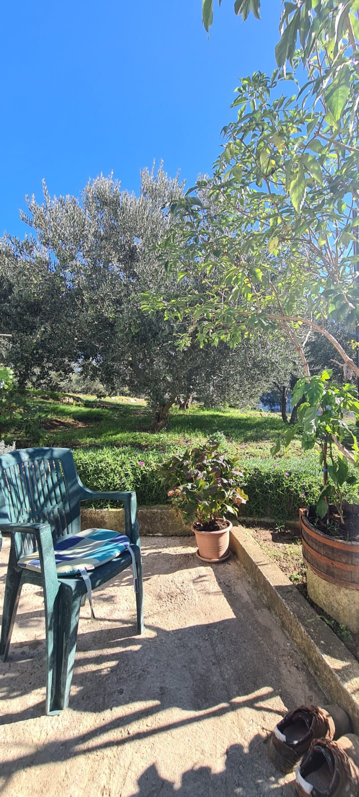 relaxing Sunday