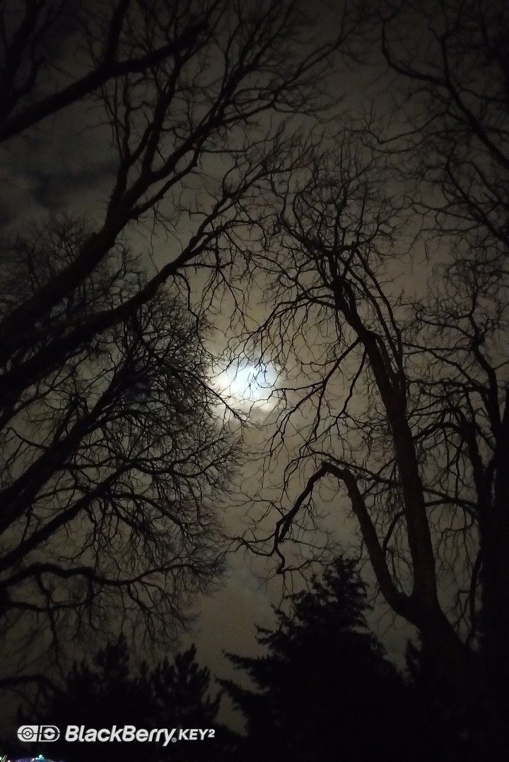moon