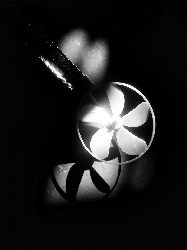 Black & White