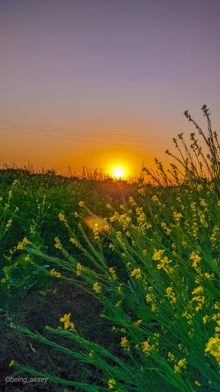 Sunset