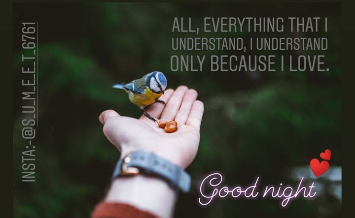 night quotes