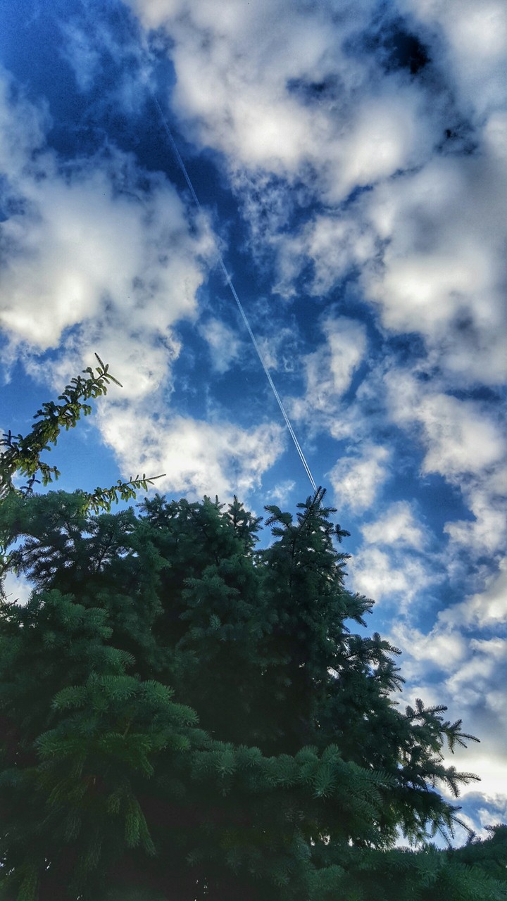 sky