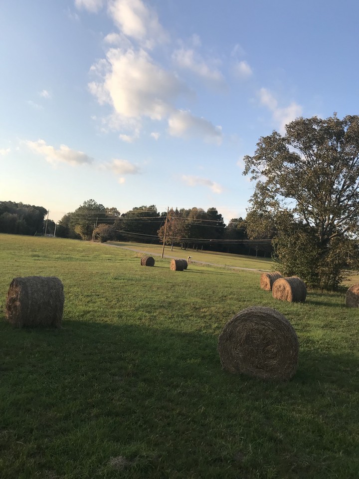 Hay Bales