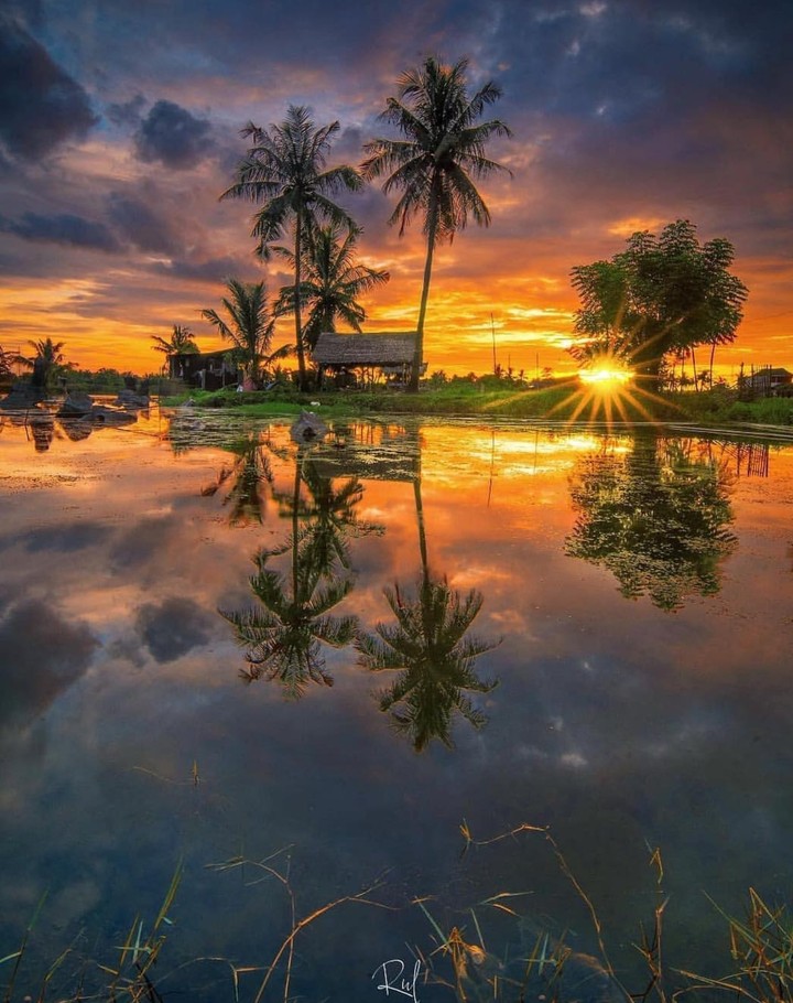 sunrise