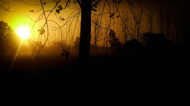 sunset