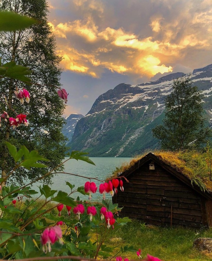 #mountain