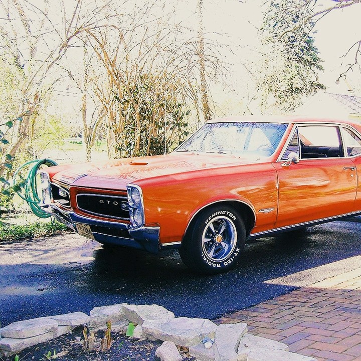 Pontiac GTO
