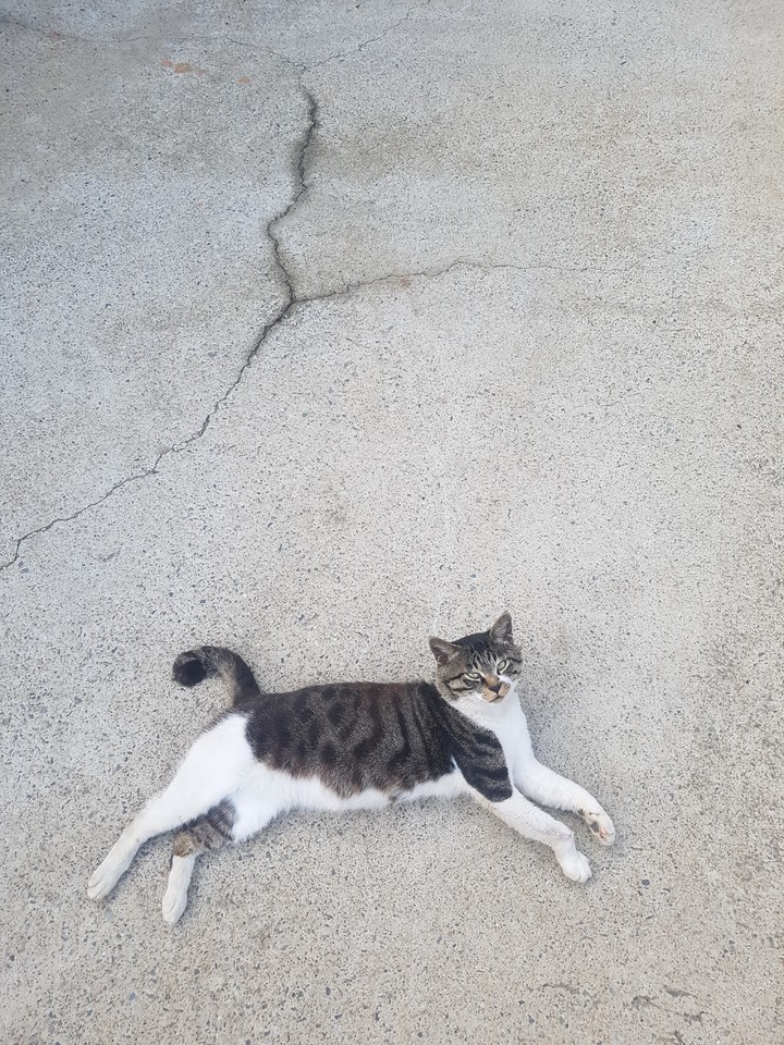 ???