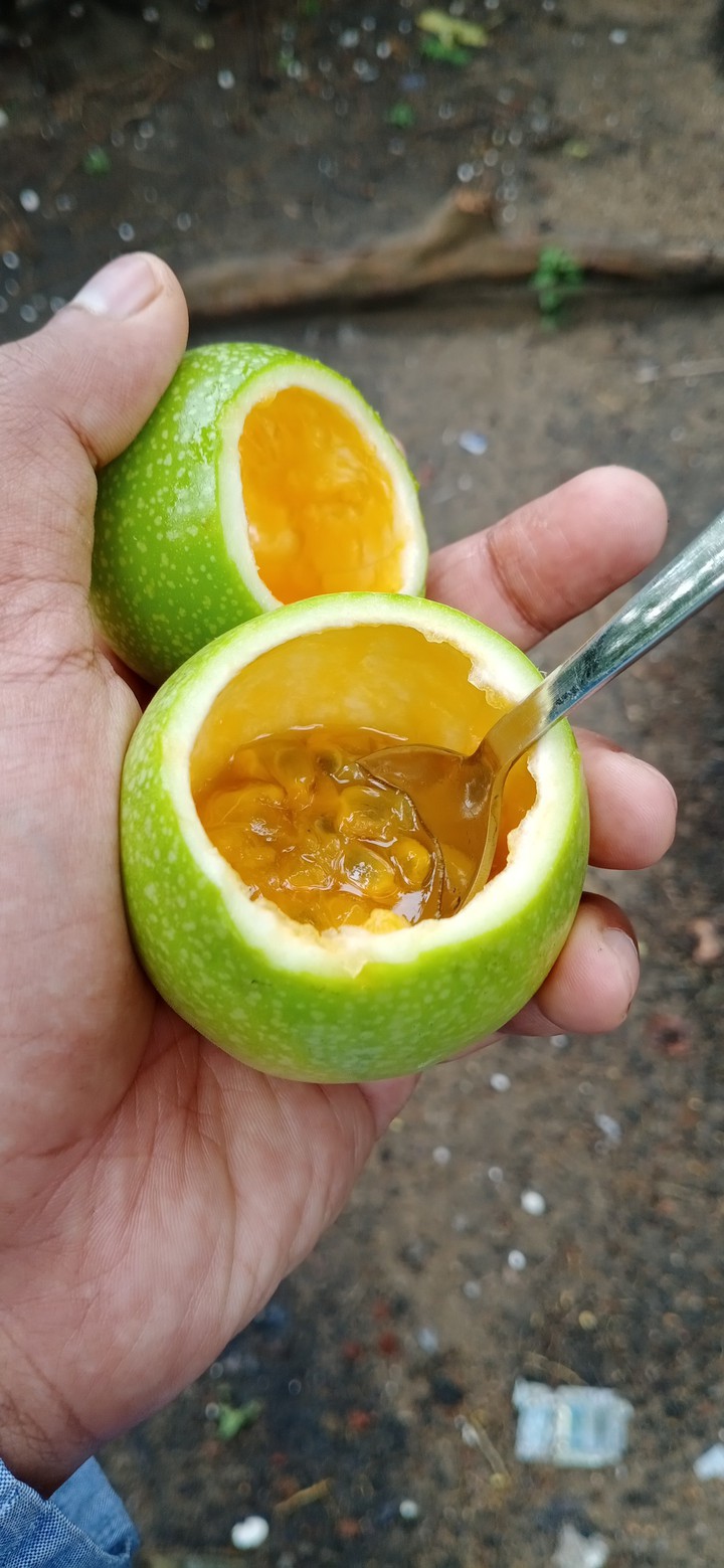 Passion Fruit