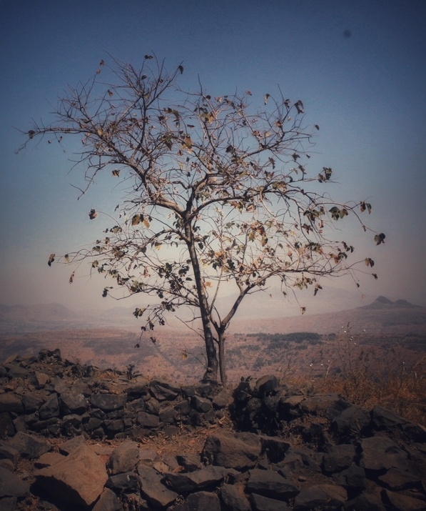 Tikona Fort