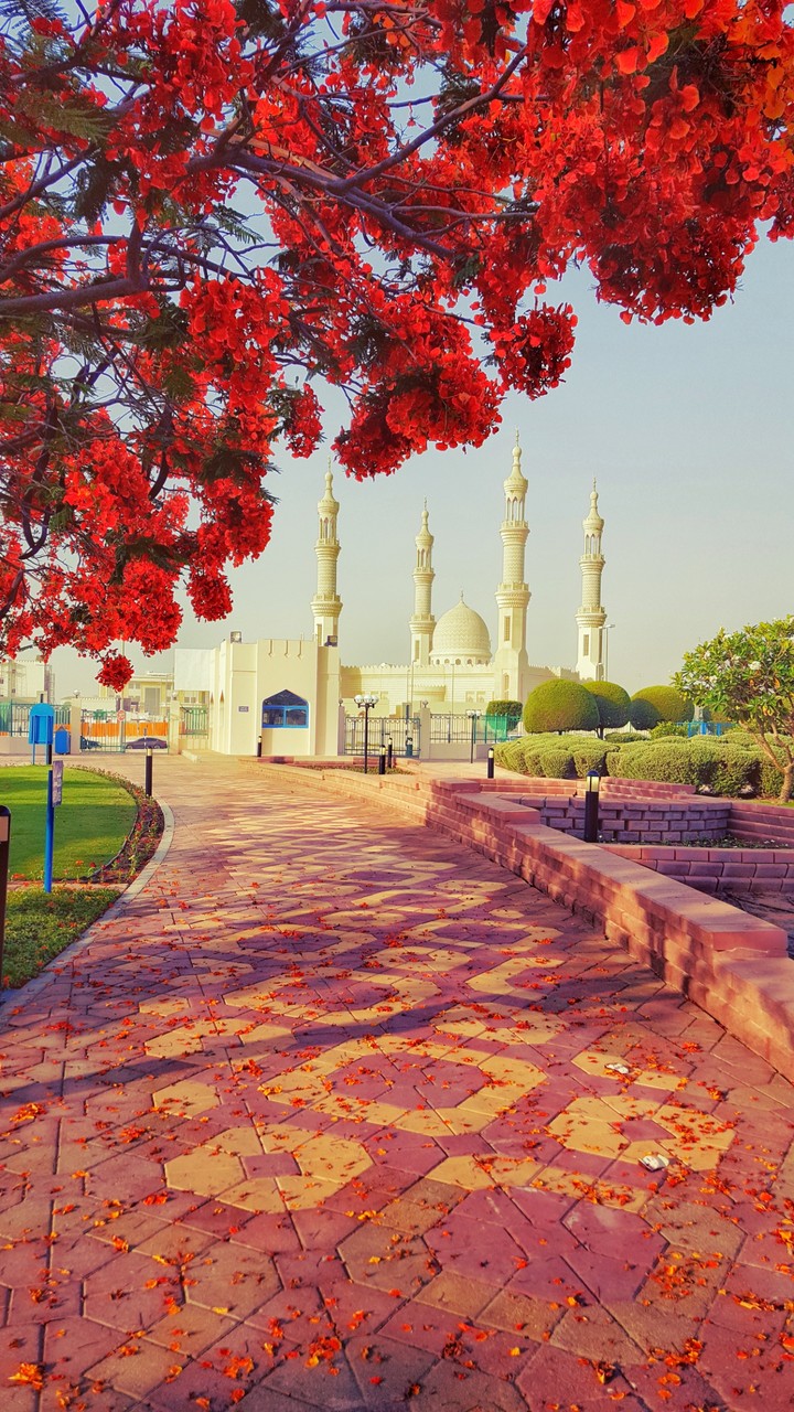 Abu Dubai Masjid