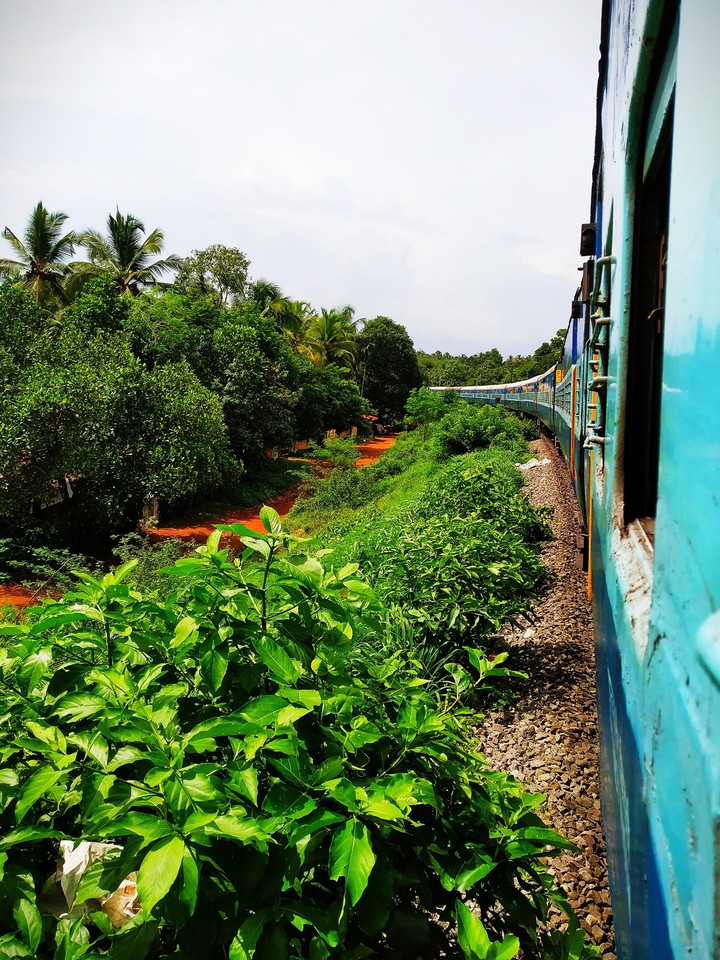 Nature?? Train..journey