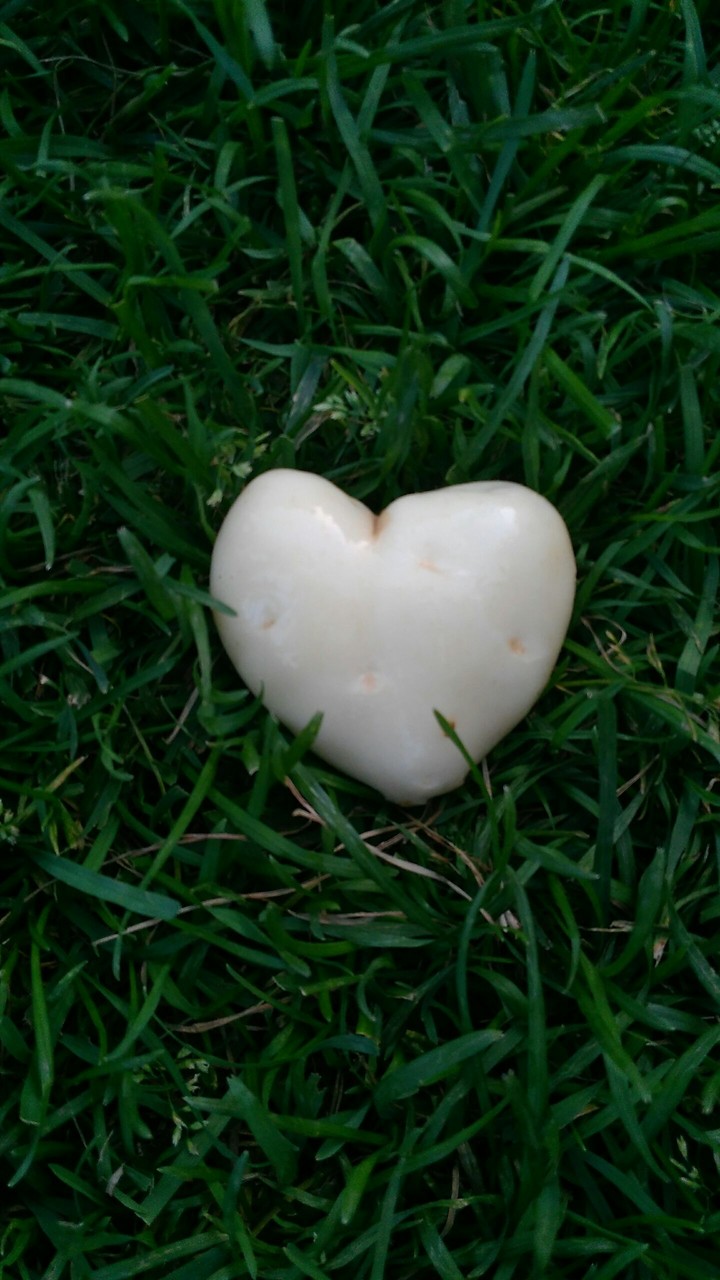 Potato-love