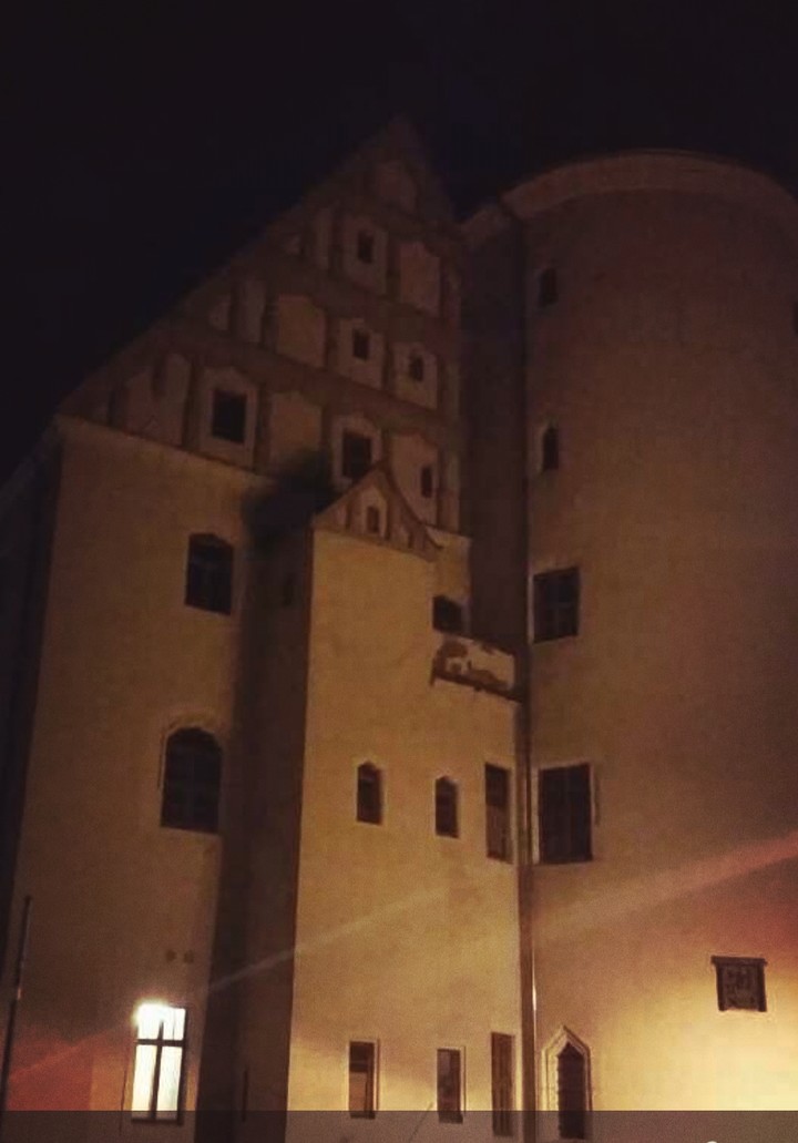 Schloss zu Wurzen