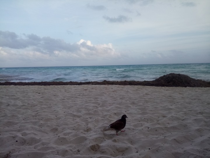 Playa del Carmen