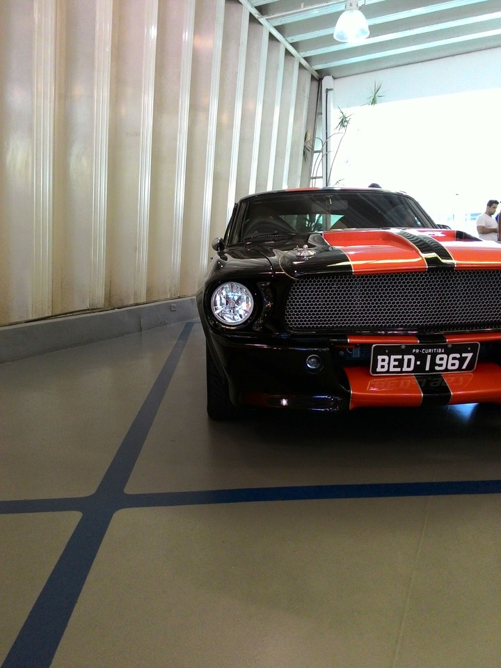 mustang