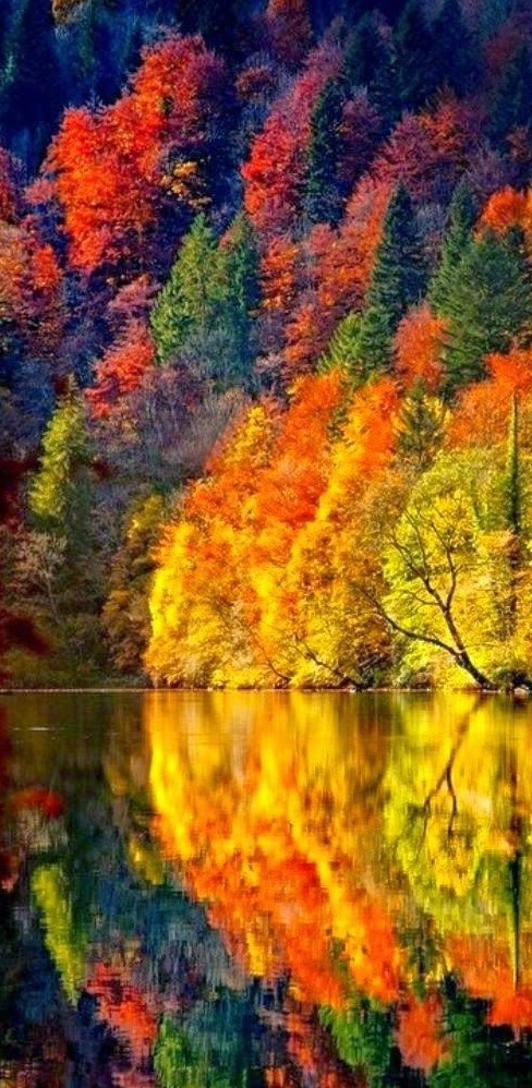Bright Autumn