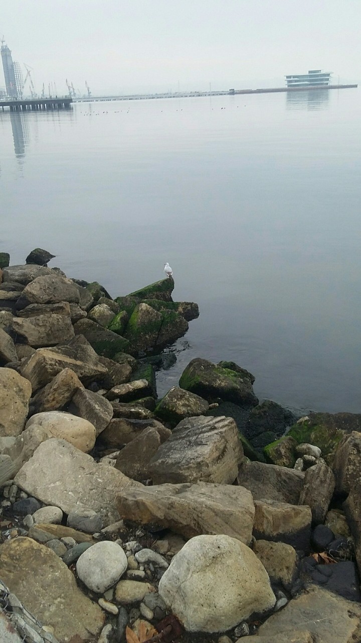 Bakı bulvar