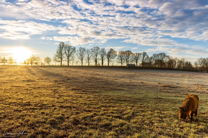 Early morning