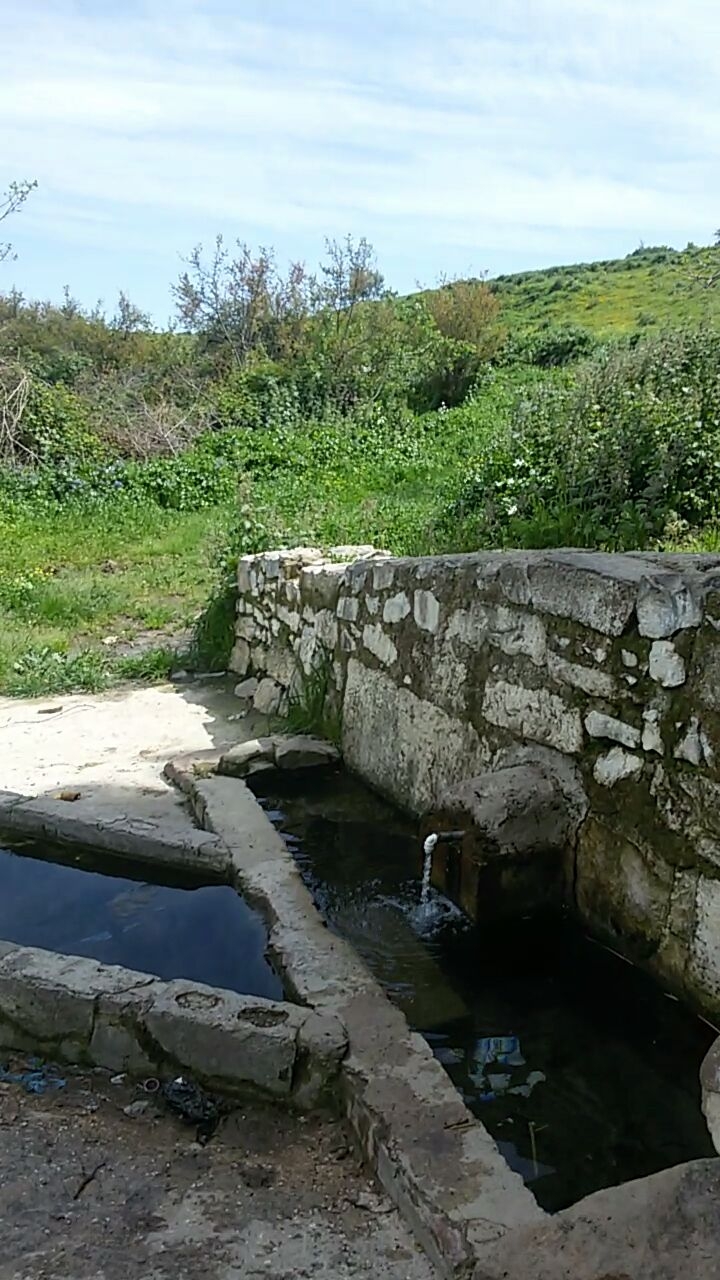 DZ