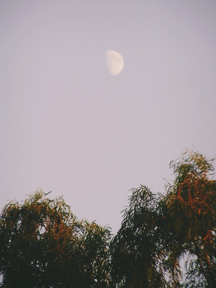 wall