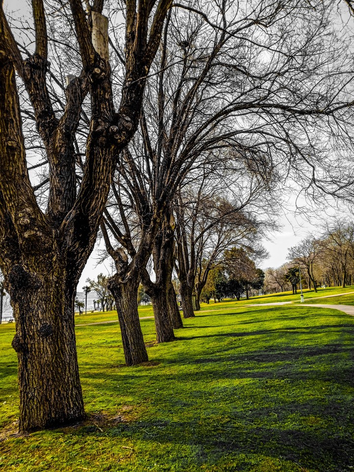 autumn park