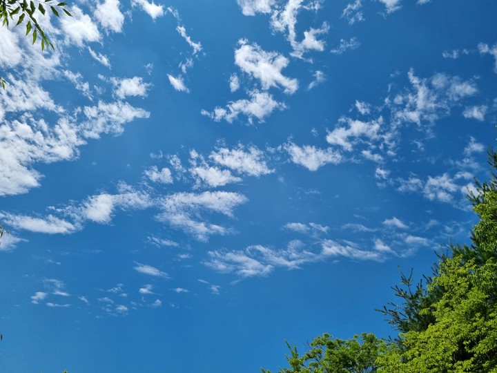 하늘