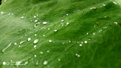 water Droplet