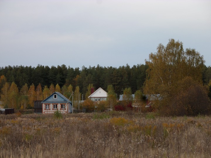 Нижегородская область
