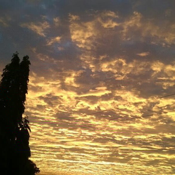 Sunrise