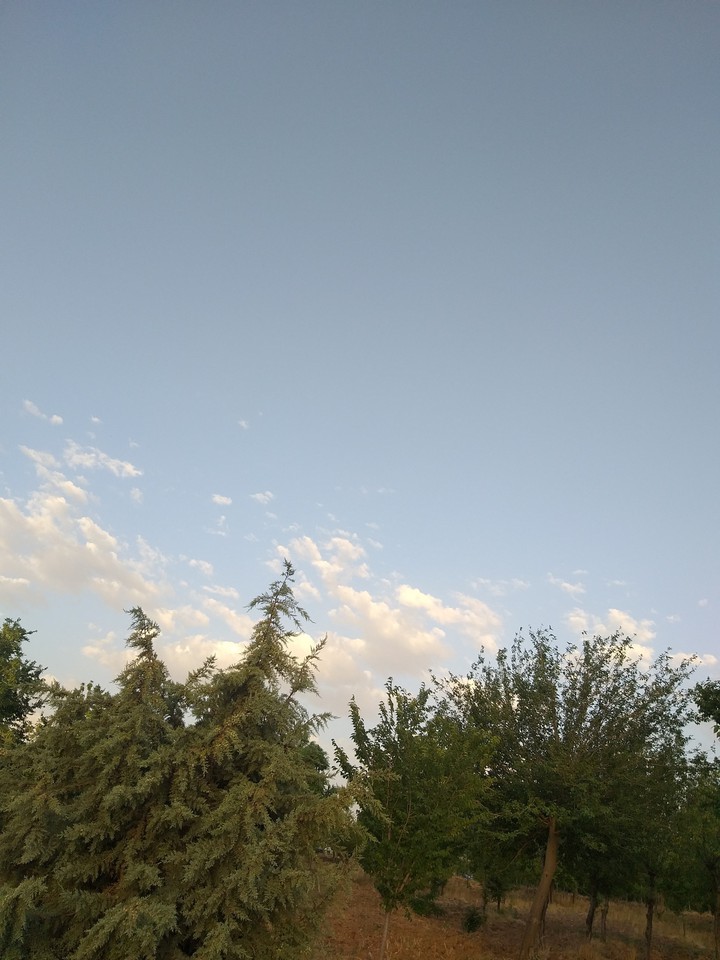 beautiful view