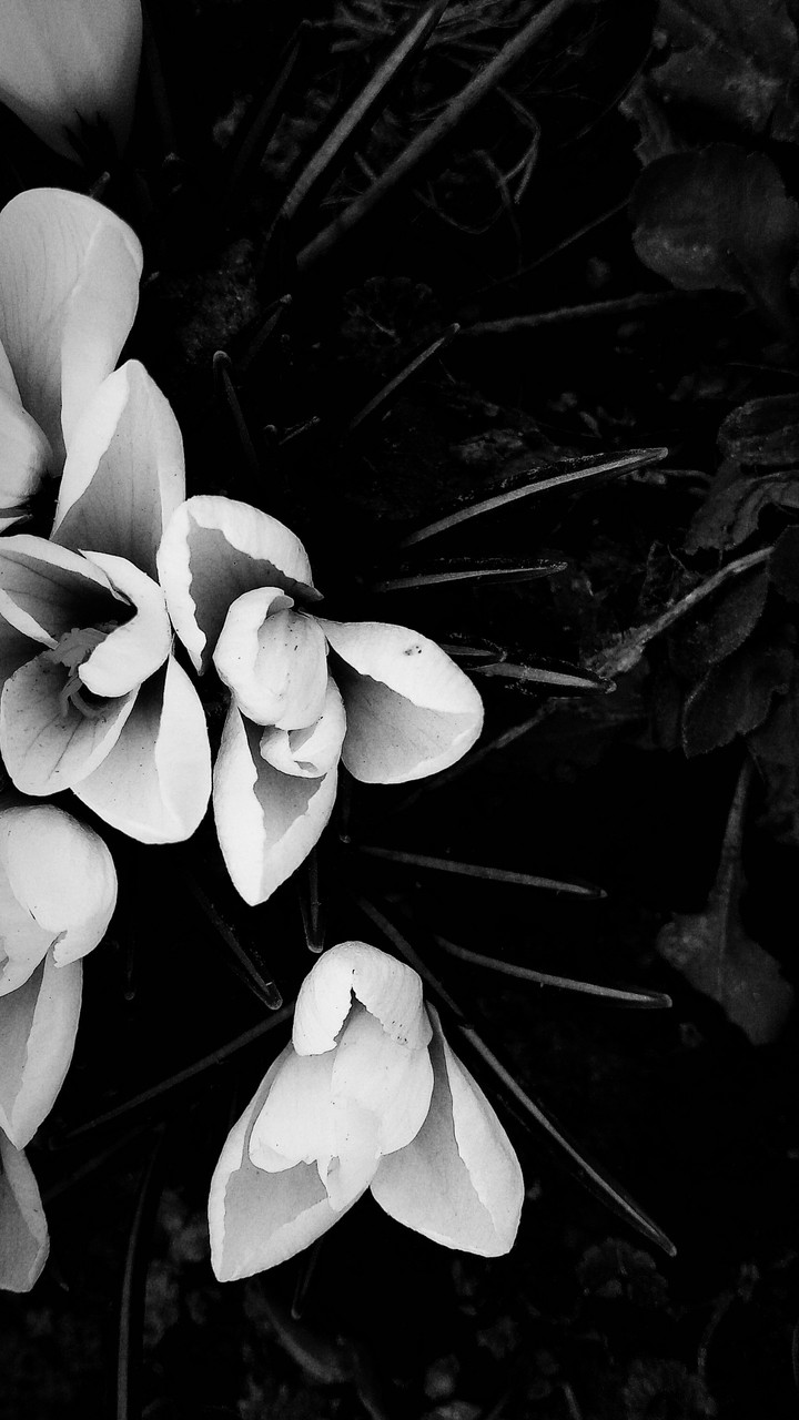 Black&white