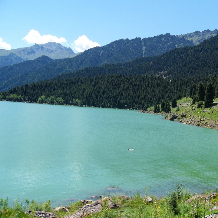 #china #lake #green #like #christmas #nature