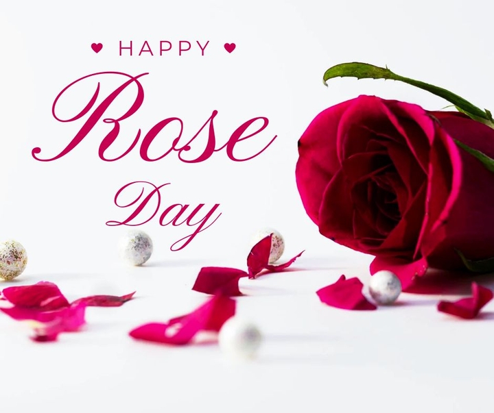 roseday ?