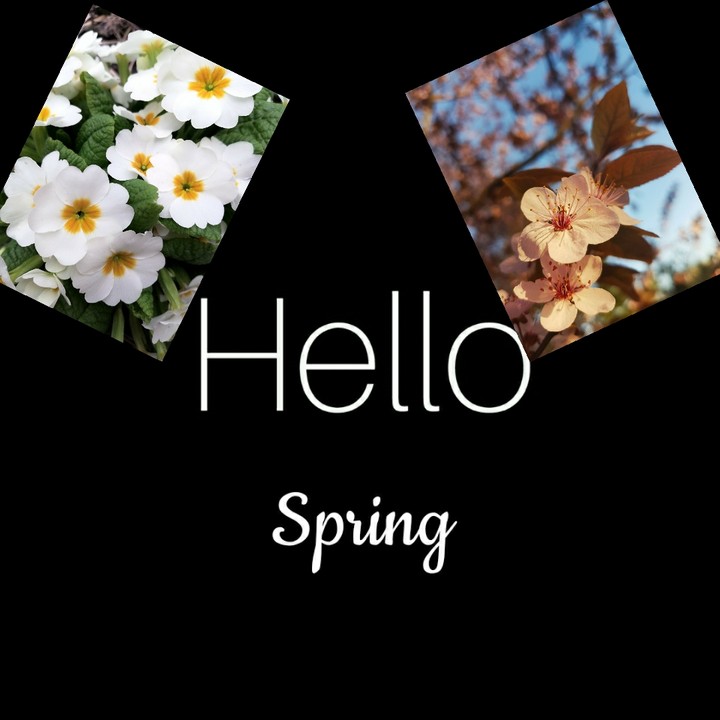 spring