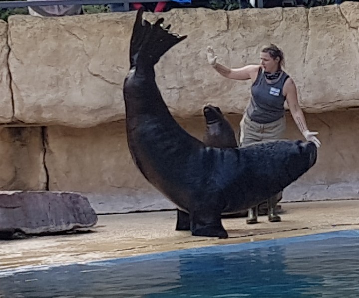 zoo