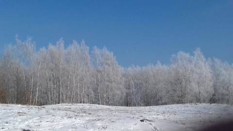 larch, 天空壁纸