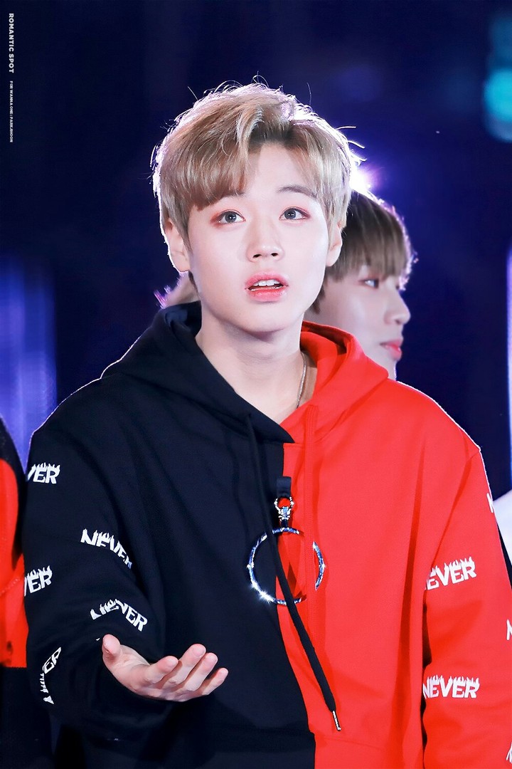 Wanna One