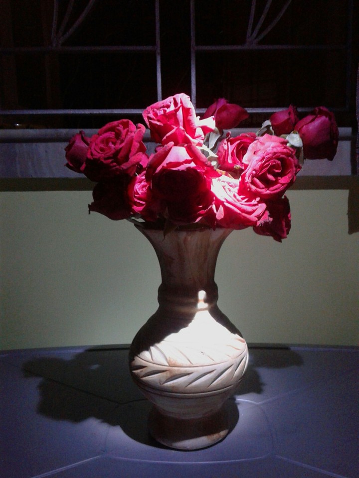 red rose