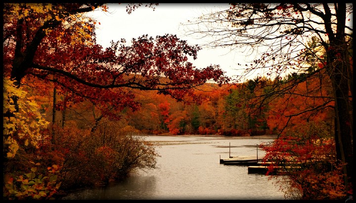 Laurel Lake