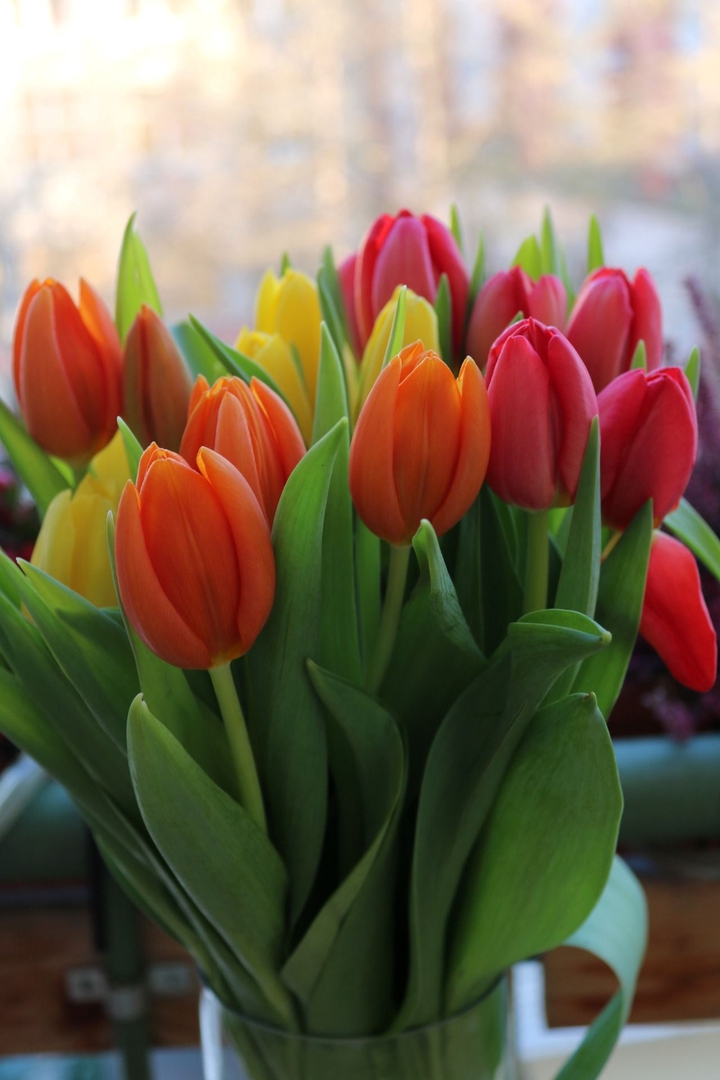 Arreglo floral con tulipanes.