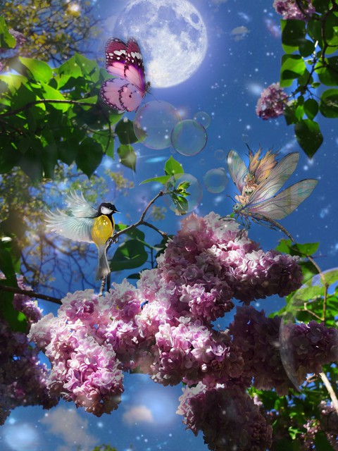 evening in the fairy garden.