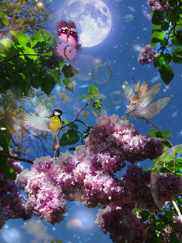 evening in the fairy garden.
