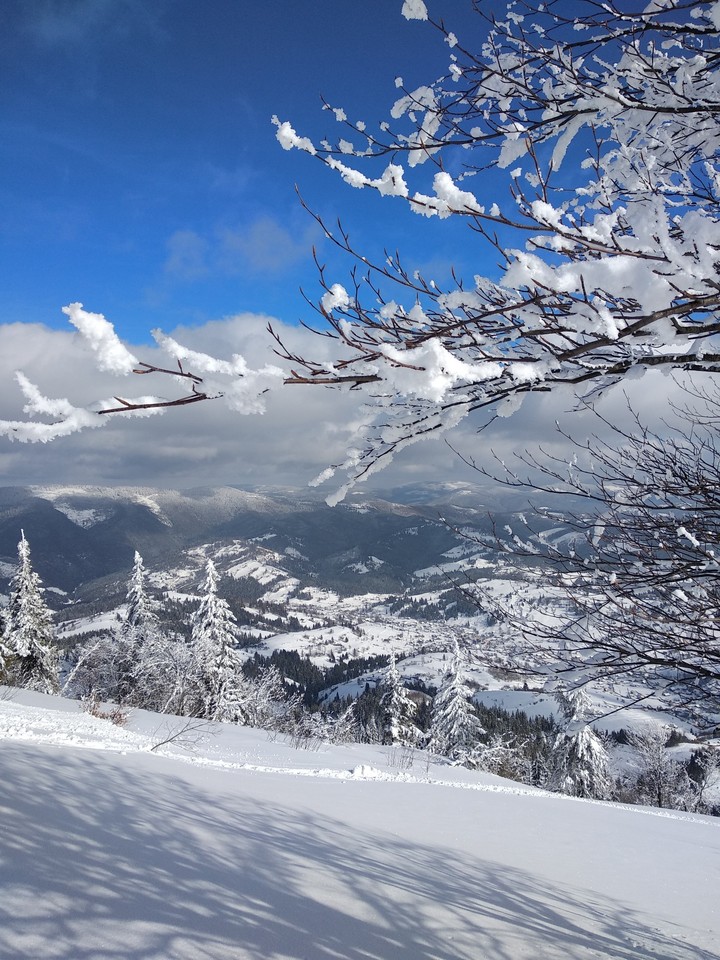 Карпати, лютий 2018