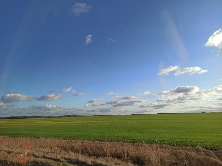 осеннее поле