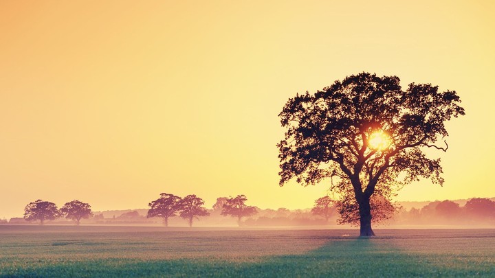 sunrise