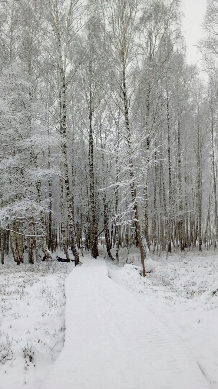 Winter