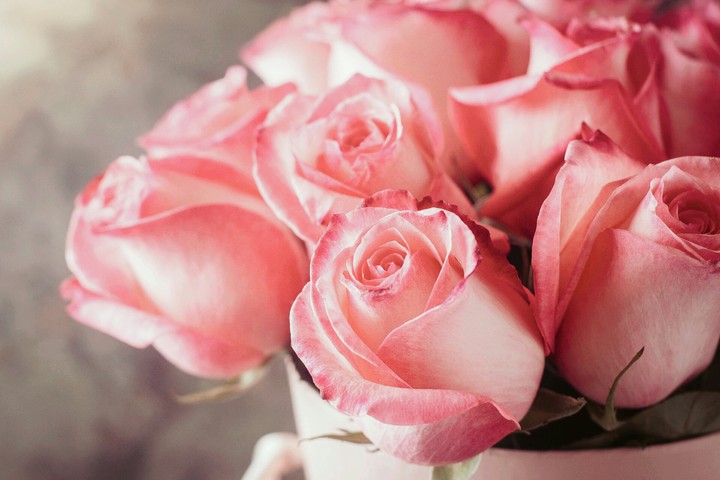 First thing i said i love flowers