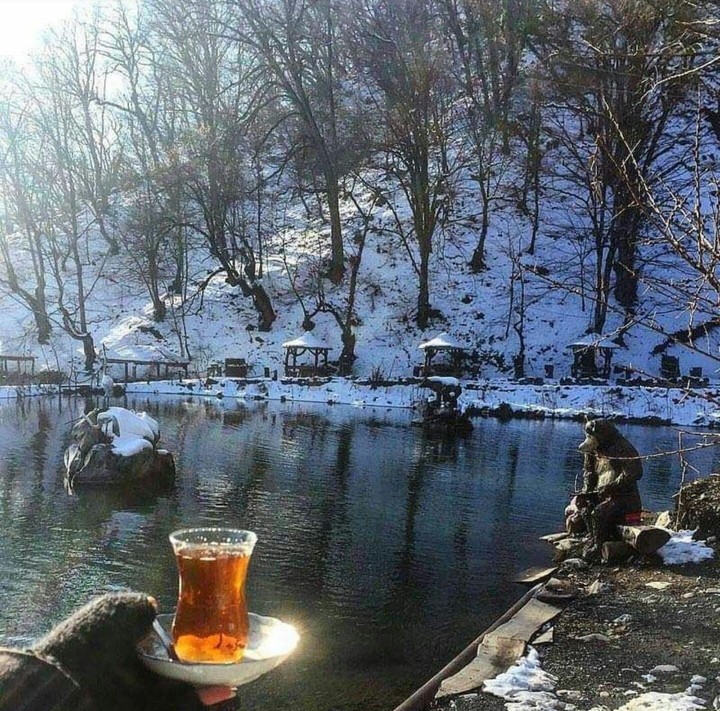 tea